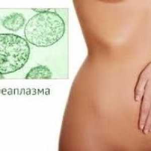Zdravljenje Ureaplasma pri ženskah, pri moških