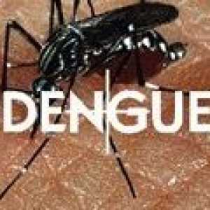 Dengue vročica: vzroki, simptomi, zdravljenje