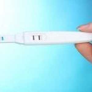Bi lahko ovulacijo med nosečnostjo?