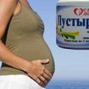 Lahko Motherwort med nosečnostjo?