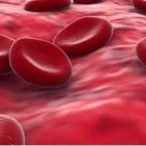 Norma hemoglobina v krvi