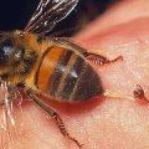 Wasp strup uničuje rakave celice