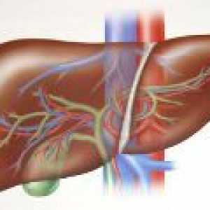 Odpoved jeter - vzroki, simptomi, zdravljenje