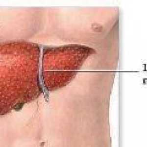 Prvi znaki jetrne ciroze