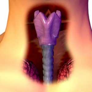 Prvi znaki raka na grlu
