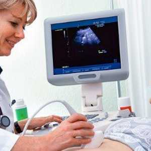 Priprava za trebušne ultrazvok