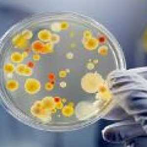 Koristne bakterije - so potrebni?
