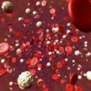 Povečano število trombocitov v krvi