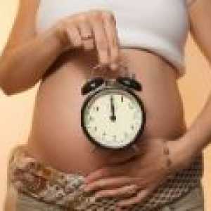 Predhodniki rojstva - morate vedeti noseča?