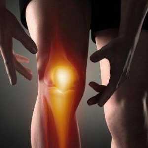 Vzroki in zdravljenje krča in bolečina v kolenu pri upogibu in razširitev