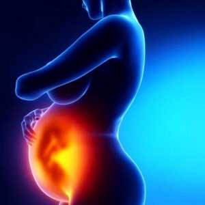 Znaki zamujeno splav v zgodnji nosečnosti