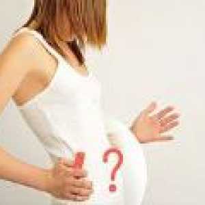 Pogosti miti o nosečnosti