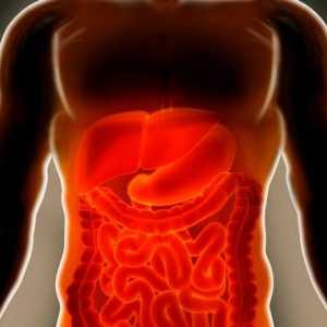 Simptomi in zdravljenje črevesne ishemije