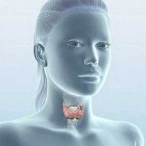 Tiroiditis - vzroki, simptomi in zdravljenje