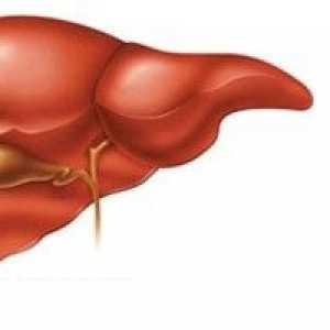Znanstveniki so izpostavil glavne sovražnike jeter
