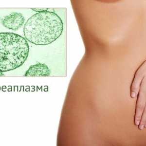 Ureaplasma pri ženskah - Simptomi in zdravljenje