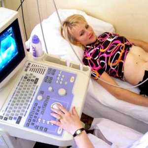 Medenice ultrazvok pri ženskah: kako pripraviti