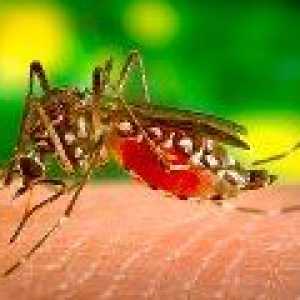 Cepivo proti malariji bo pomagal zaščititi pred rakom