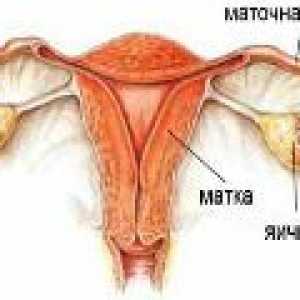 Vnetje jajčnikov pri ženskah, simptomih in zdravljenju