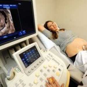 Škodljiva, če ultrazvok med nosečnostjo? Kolikokrat lahko storite?